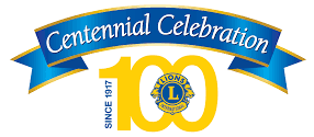 logo 100